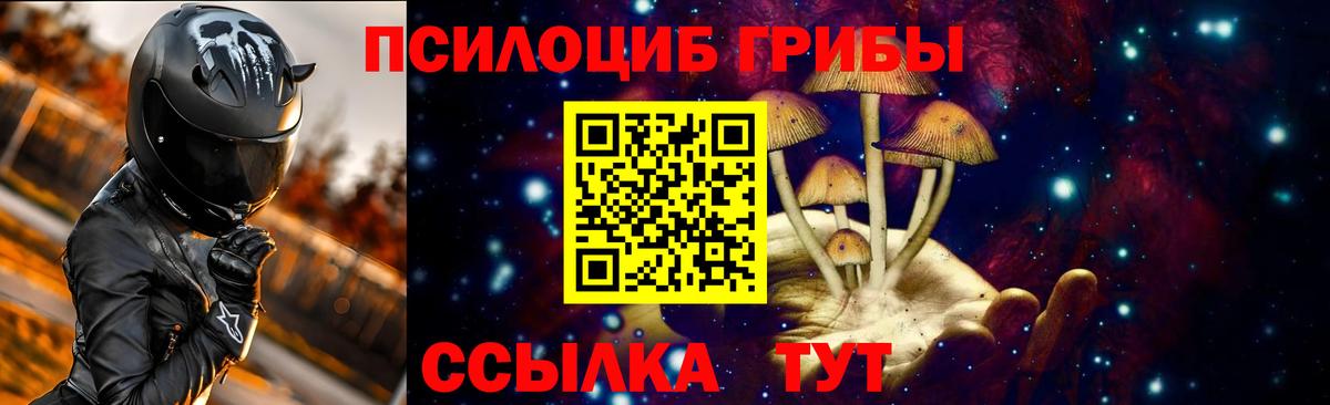 Псилоцибиновые грибы GOLDEN TEACHER Усть-Лабинск